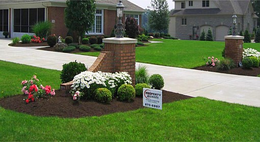 Trim and Mulch 2